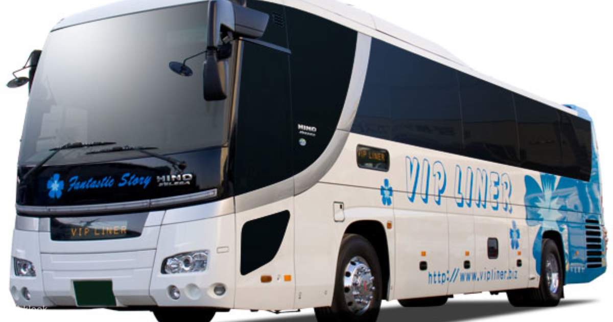東京~河口湖間の片道バス乗車券 東京~河口湖間の片道バス乗車券